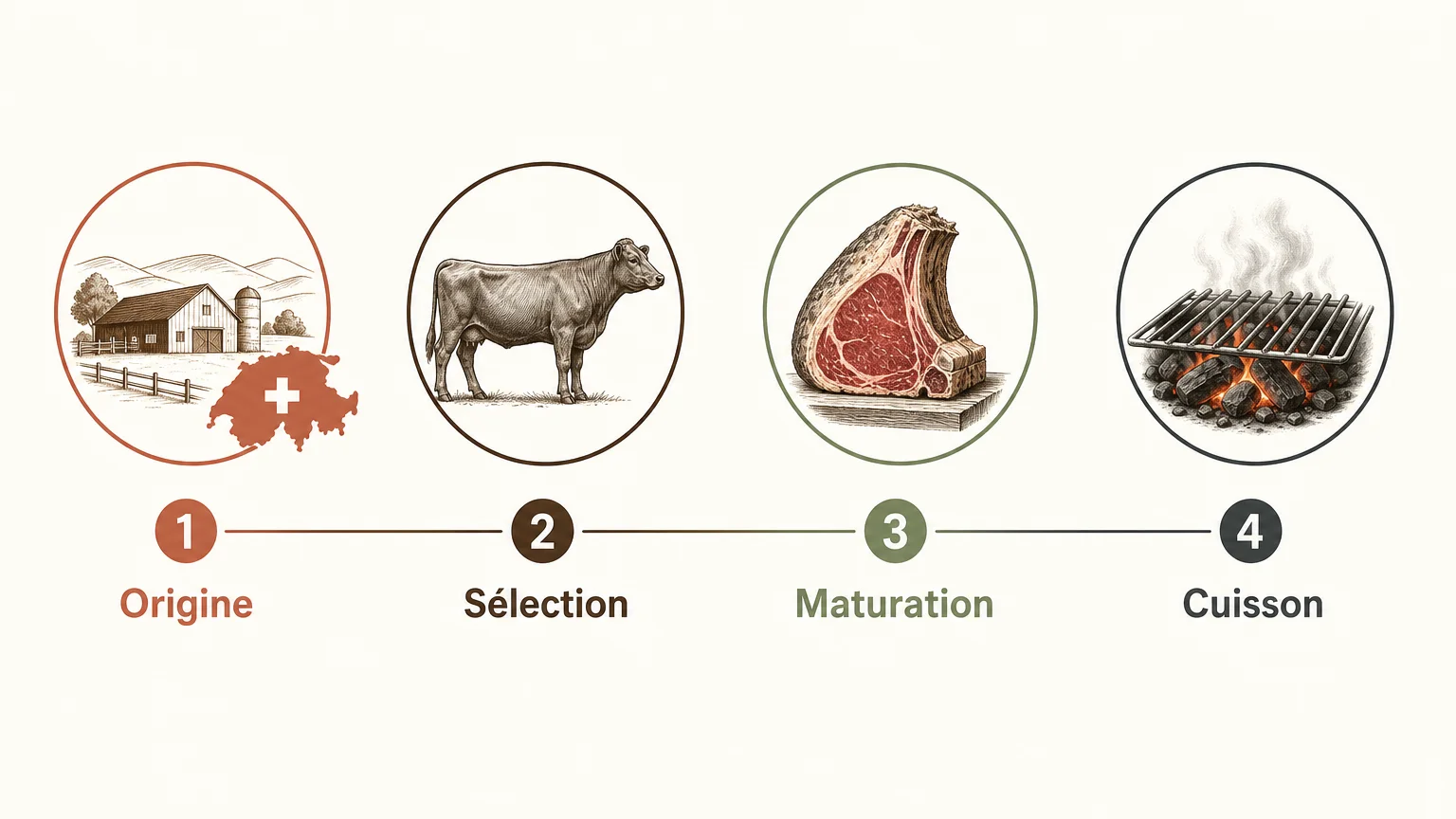 Les quatre critères pour choisir une viande de bœuf haut de gamme