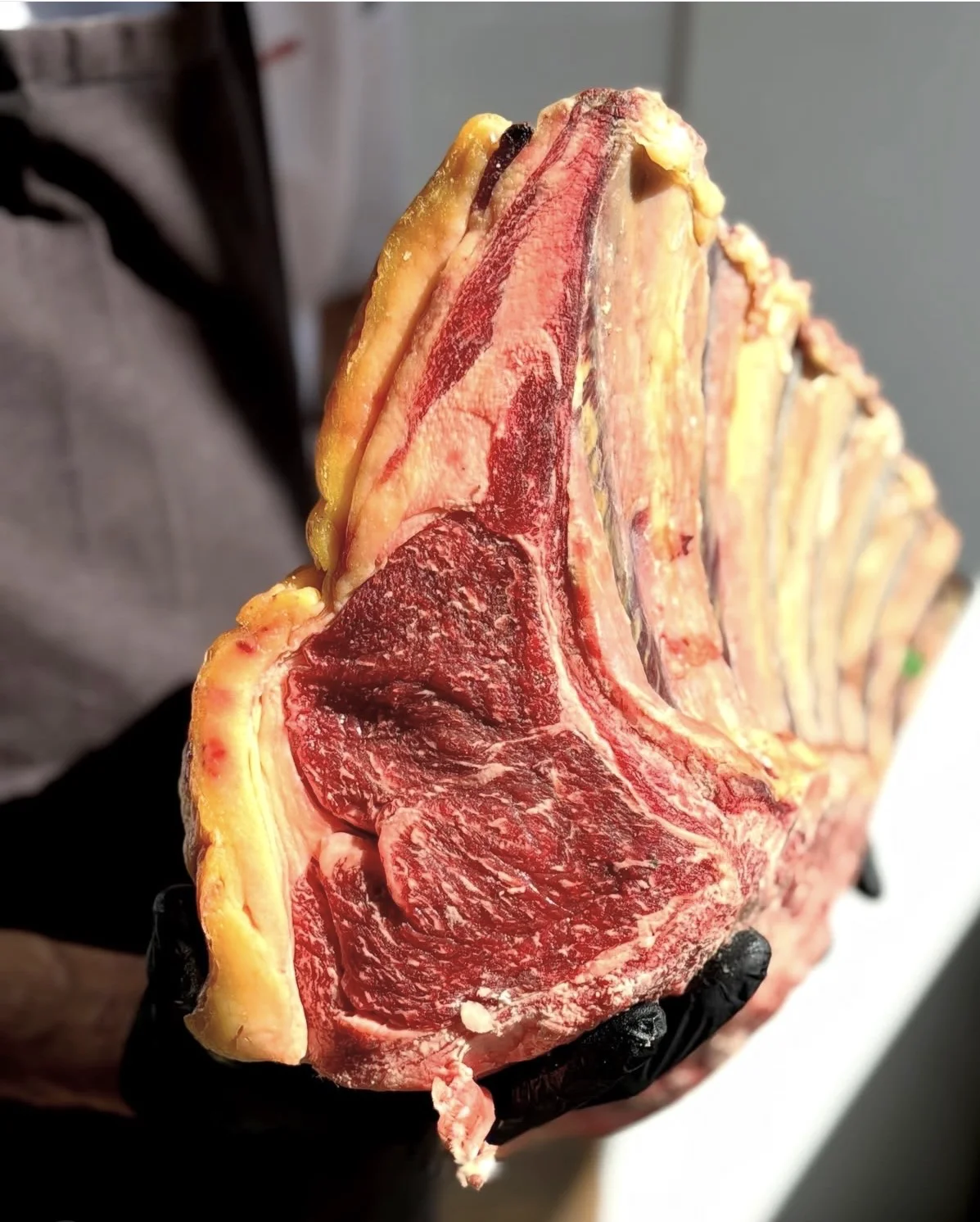 Gros plan d’une pièce de bœuf avec os, persillage et couche de gras tenue par une main gantée