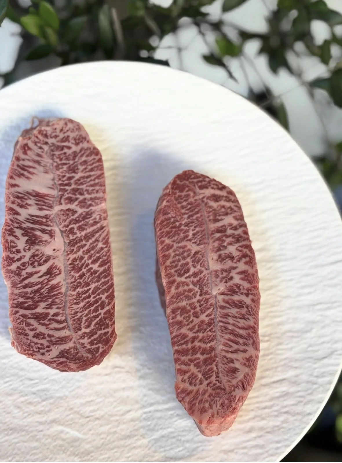 Deux pièces de viande persillée crue sur une surface blanche, avec un arrière-plan végétal flou.